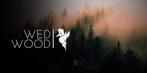 Milovnicí dřevěných dekorací i pro váši svatbu jsme našli něco extra… WED WOOD