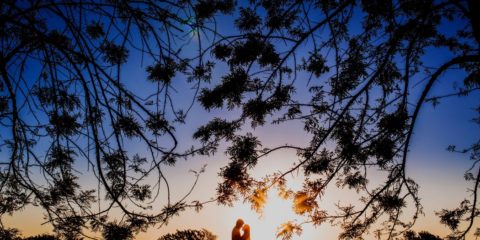 Elegance, nadčasovost a stabilita. To je klasická modrá, barva roku 2020 podle institutu Pantone