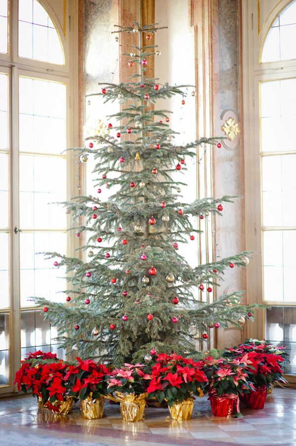 Vánoční stromek jako svatební dekorace