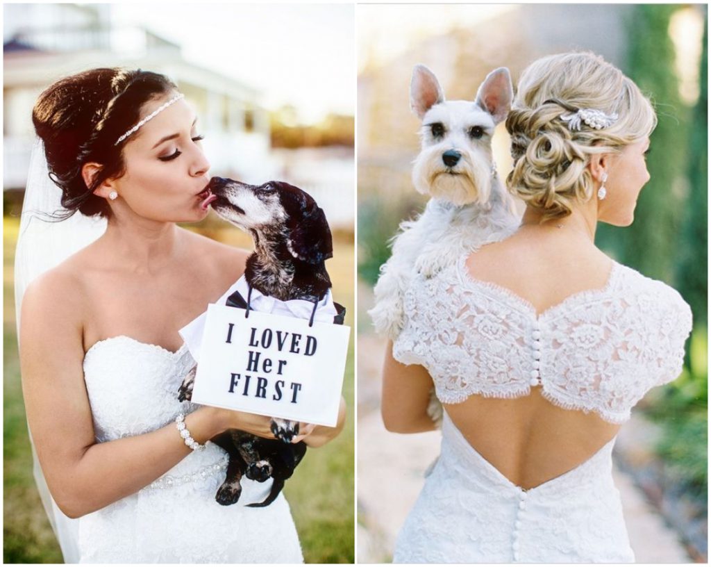 Fotky nevěsty se psem