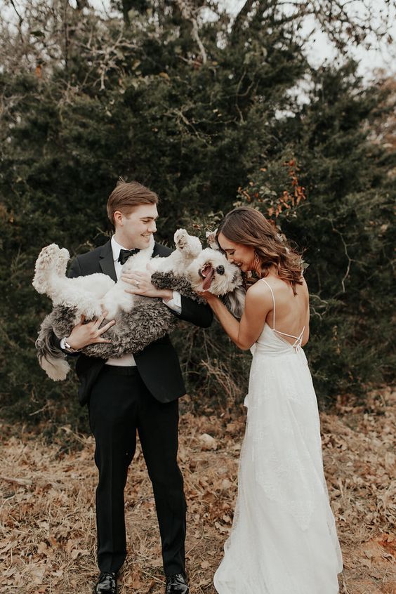 Pes na svatbě, svatební foto se psem