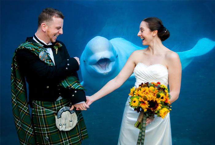 Vtipné okamžiky se zvířaty na svatbě