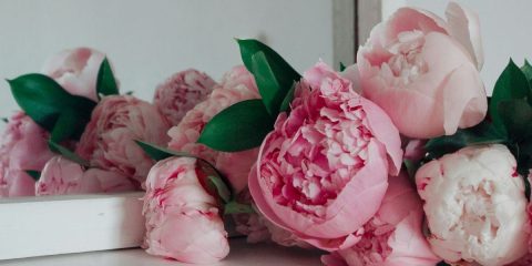 Trendy květinou roku je pivoňka. Využijte její plnokvětou krásu ve svatební výzdobě