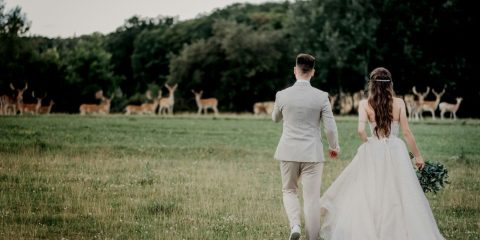 Milujete zvířata? Vezměte se mezi nimi. Tipy na netradiční svatební místa
